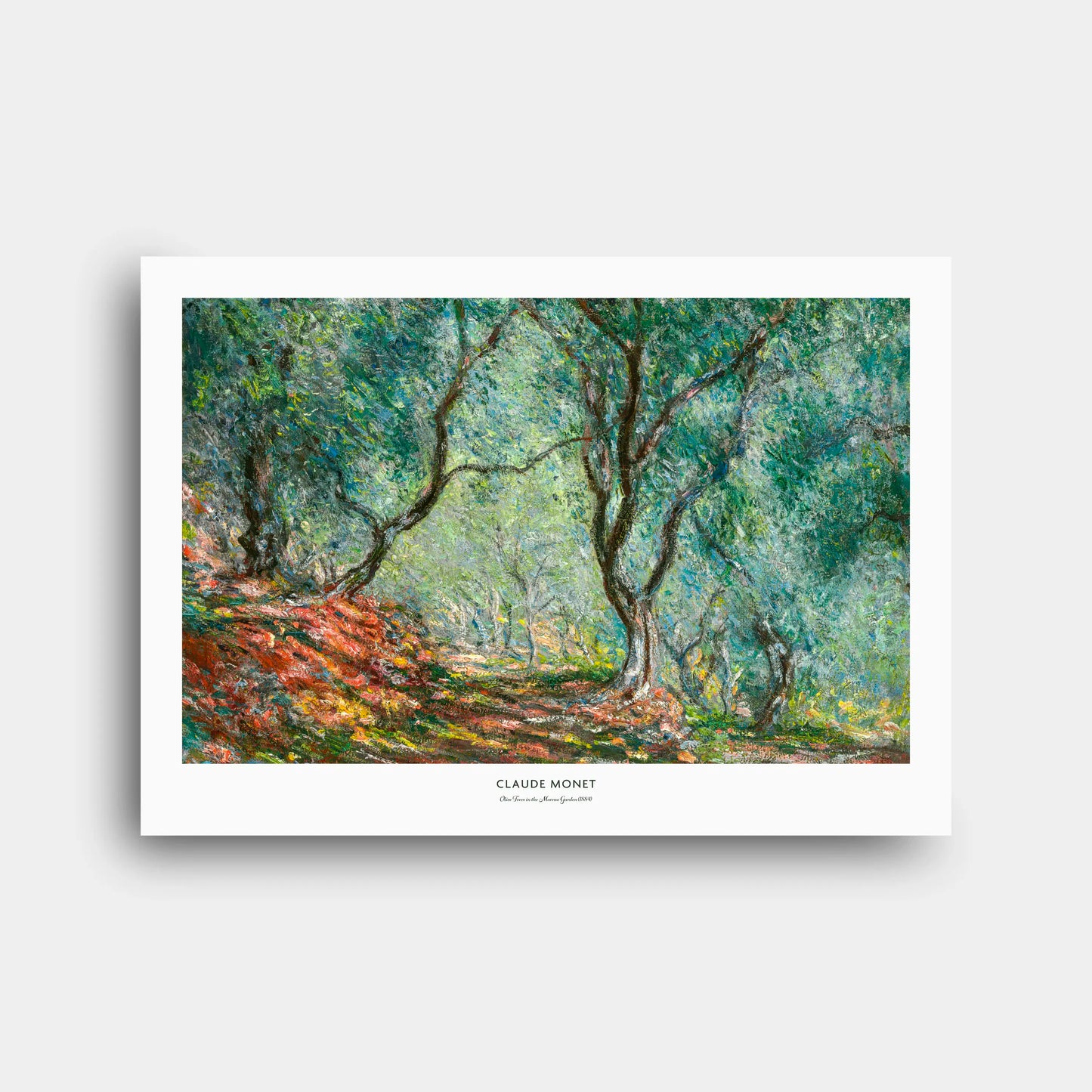claude_monet_olive_trees_in_the_moreno_garden_1884_n163_1