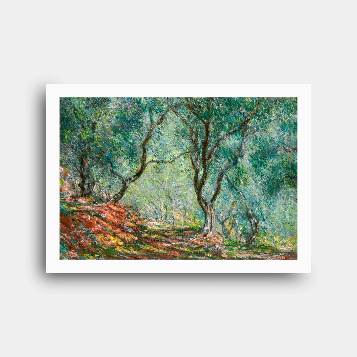 claude_monet_olive_trees_in_the_moreno_garden_1884_n163_2