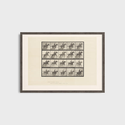 Horse Locomotion - Eadweard Muybridge (1887) - Fine Art Print N 106
