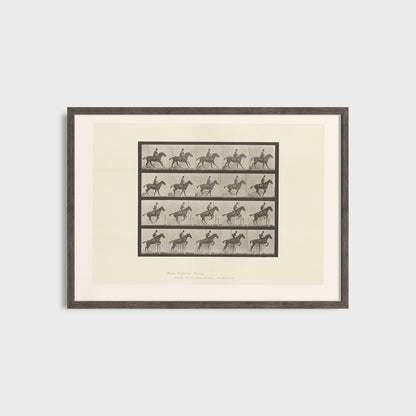 Ruch konia - Eadweard Muybridge (1887) - Wydruk Nr 107