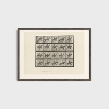 Ruch konia - Eadweard Muybridge (1887) - Wydruk Nr 108
