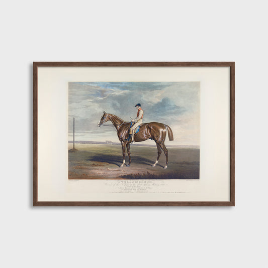 Velocipede - Zwycięzca Great York Spring Meeting (1828) J. Ferneley - Wydruk Nr 113