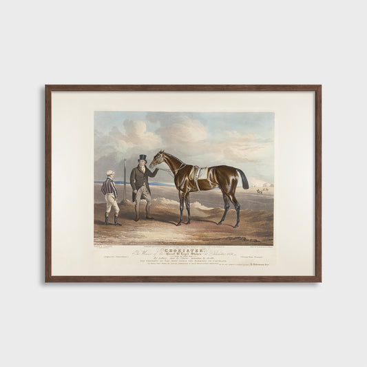 Chorister - Zwycięzca Great St. Leger Stakes (1831) J. Ferneley - Wydruk Nr 115