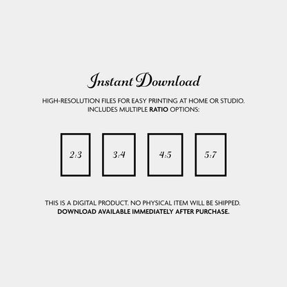 Digital_File_Description