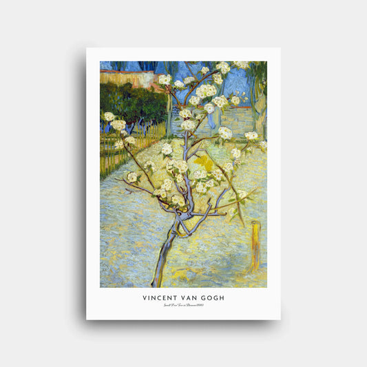 n209_vincent_van_gogh_small_pear_tree_in_blossom_1888_1