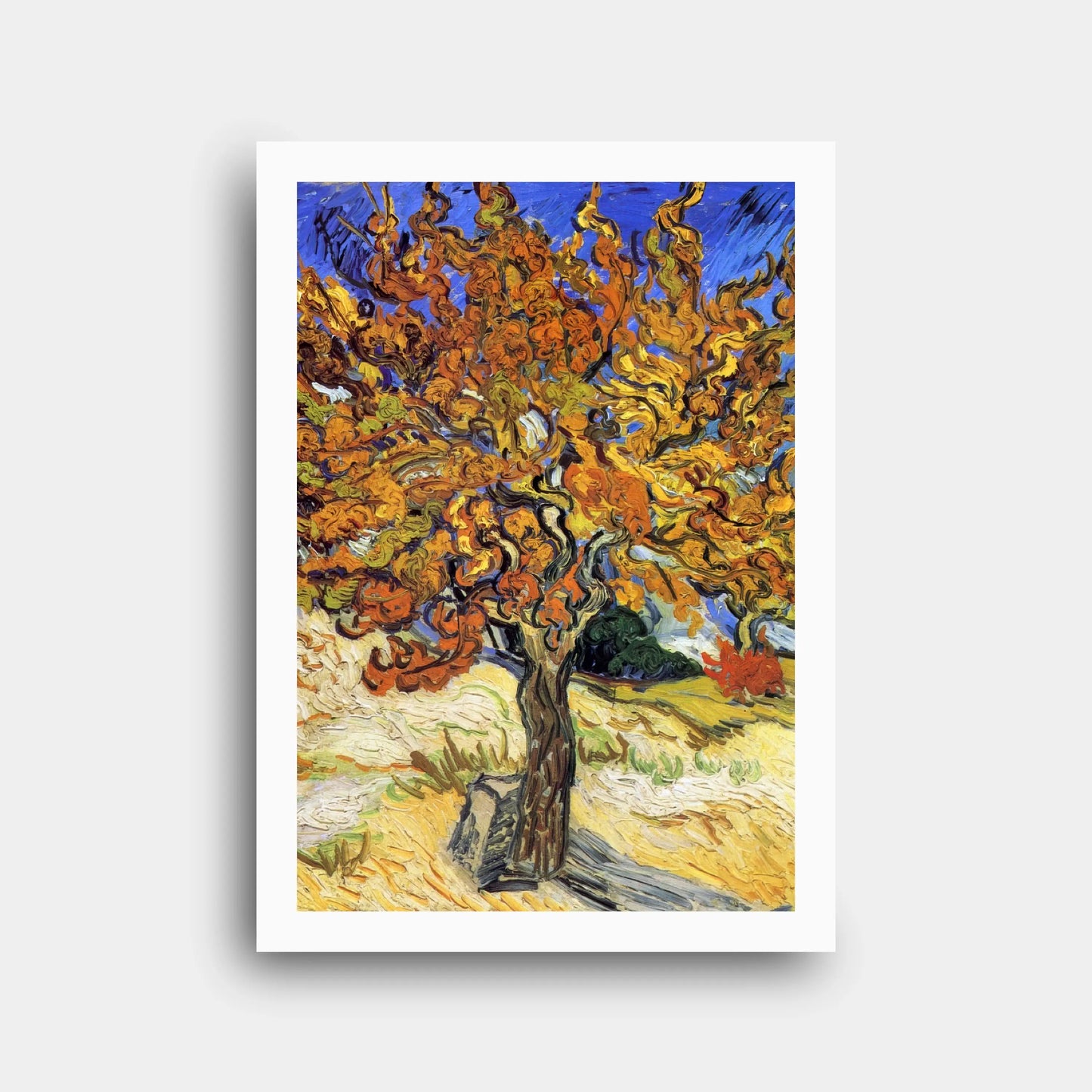 n212_vincent_van_gogh_mulberry_tree_1889_2