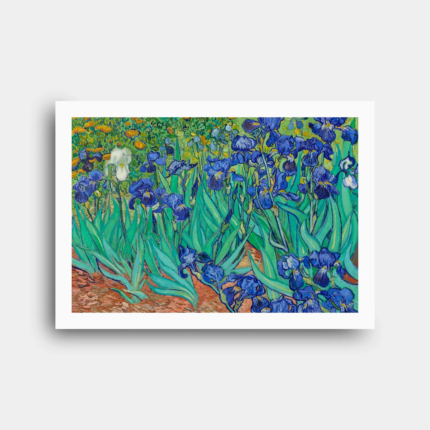 vincent_van_gogh_irises_1889_n190_2