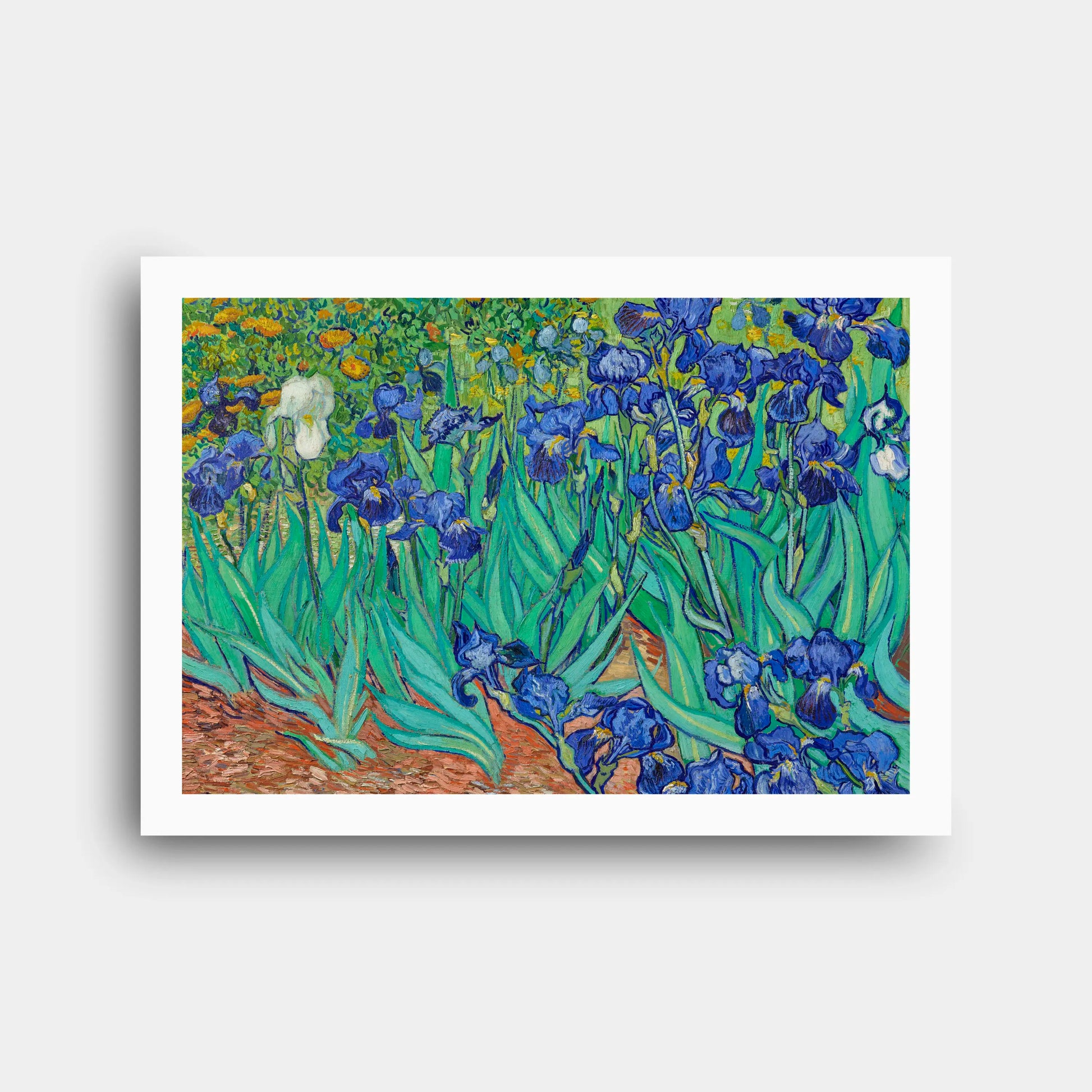 vincent_van_gogh_irises_1889_n190_2